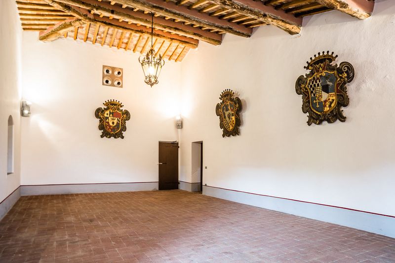 Castle in Siena 2-024