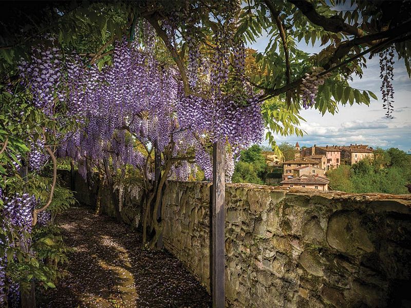 Tuscan Countryside – Borgo 2-006