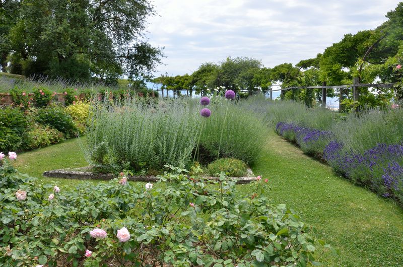 Tuscan Countryside – Villa 2-042